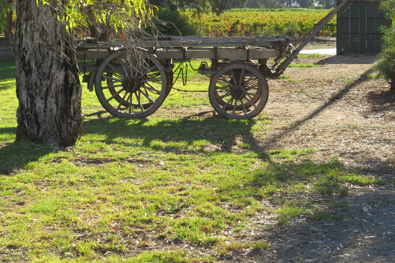Old wagon at winery 2