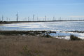 The wind farm