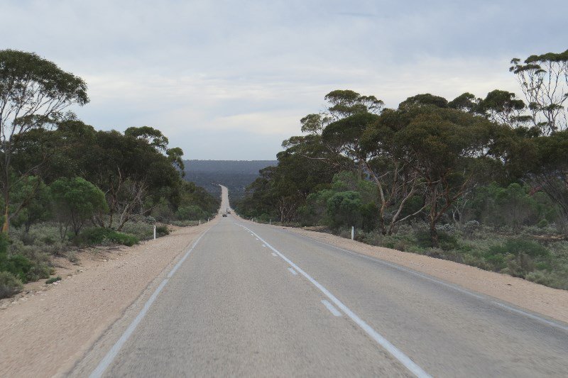 The Nullarbor Road