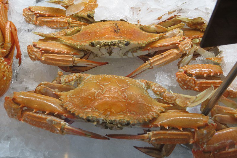 Hansom Crabs