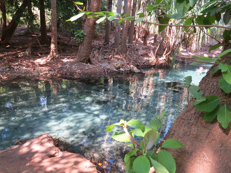 Mataranka Springs pool