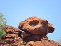 Meerkat Rock