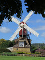 Penguin Wind mill