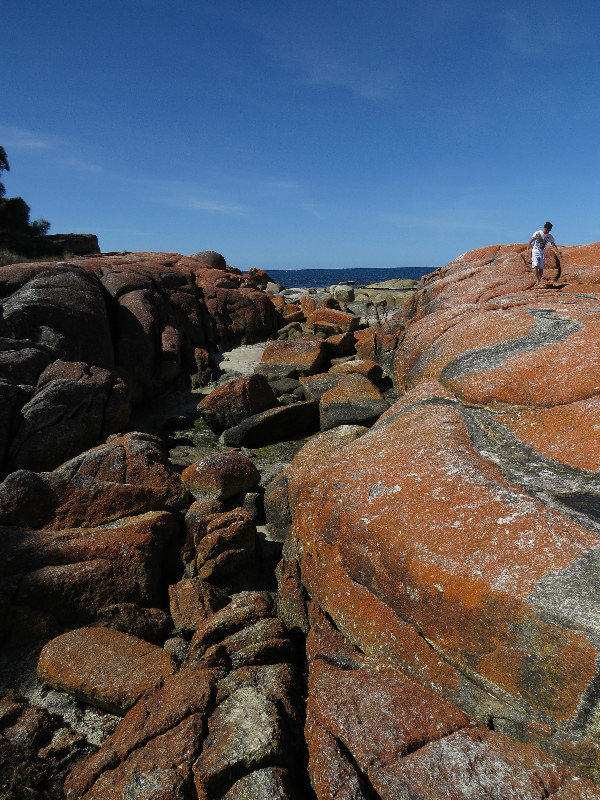 Bay of Fires 04