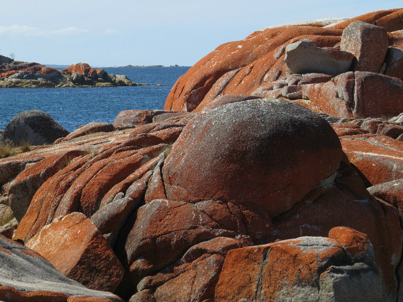 Bay of Fires 06