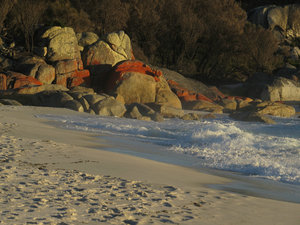 Bay of Fires 13