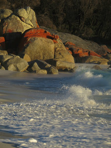 Bay of Fires 14