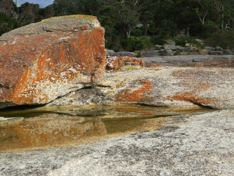 Orange Rocks at Bicheno
