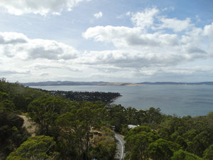 Taroona 08