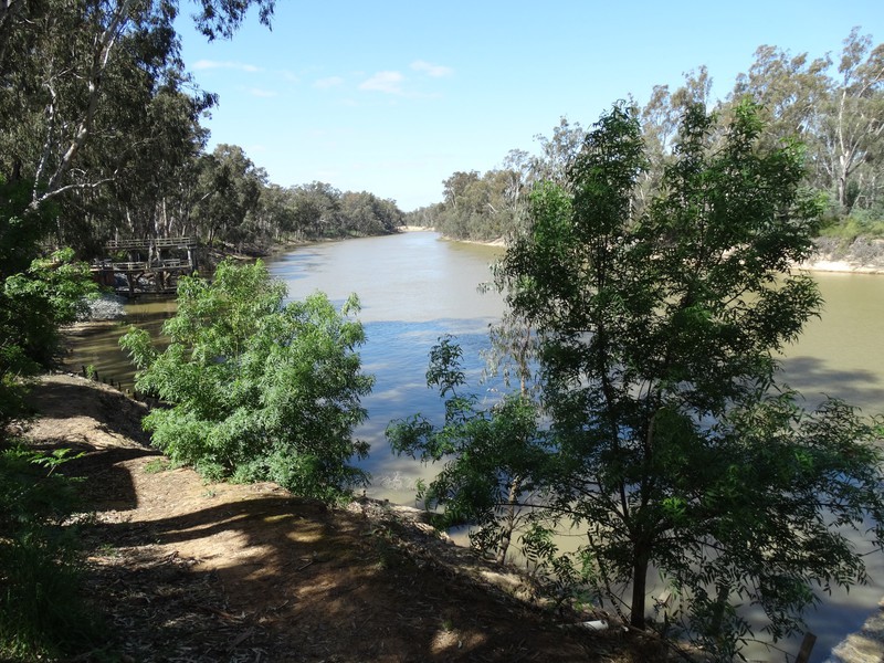 Murray River 1