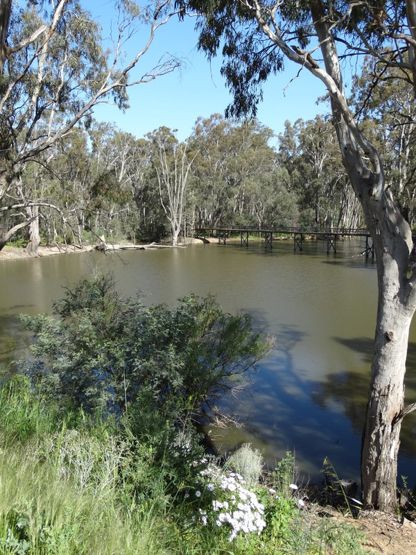 Murray River 3