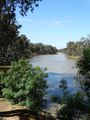 Murray River 2