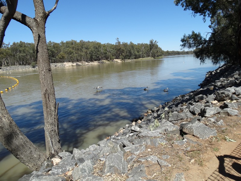 Murray River view