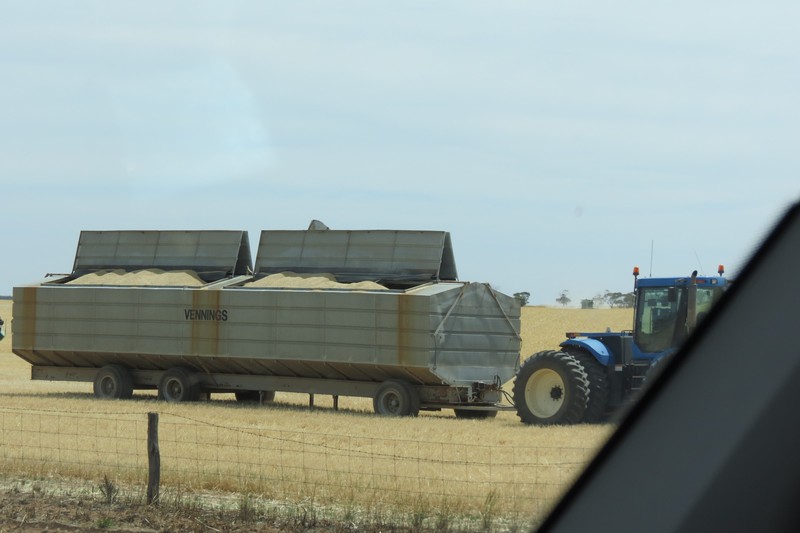 Truck loads of grain