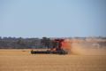 Dusty Harvest