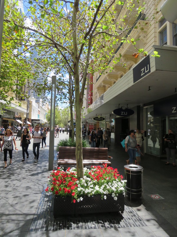 Colour in Hay Street