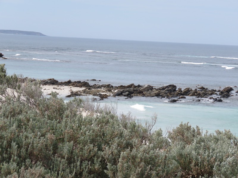 Seal Point Coast Line