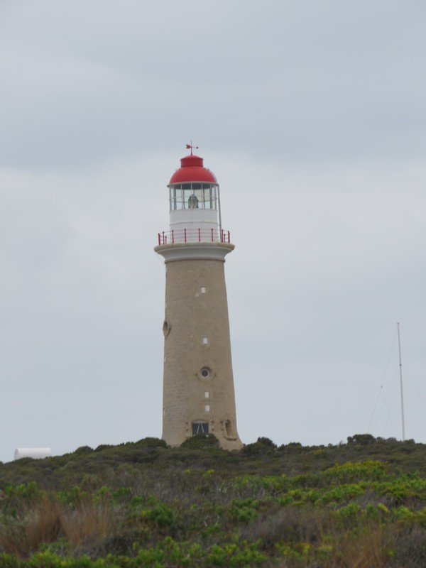 Cape Du Couedic Seal Colony Light House