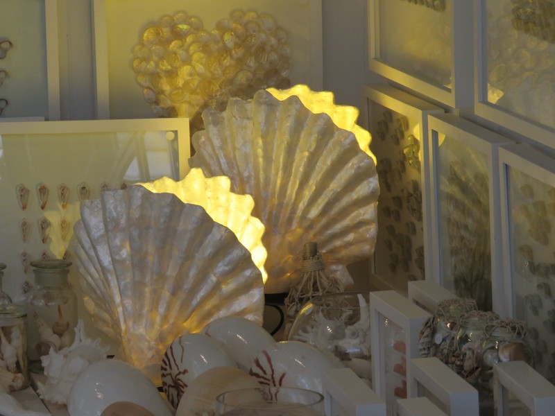 The clam lamps