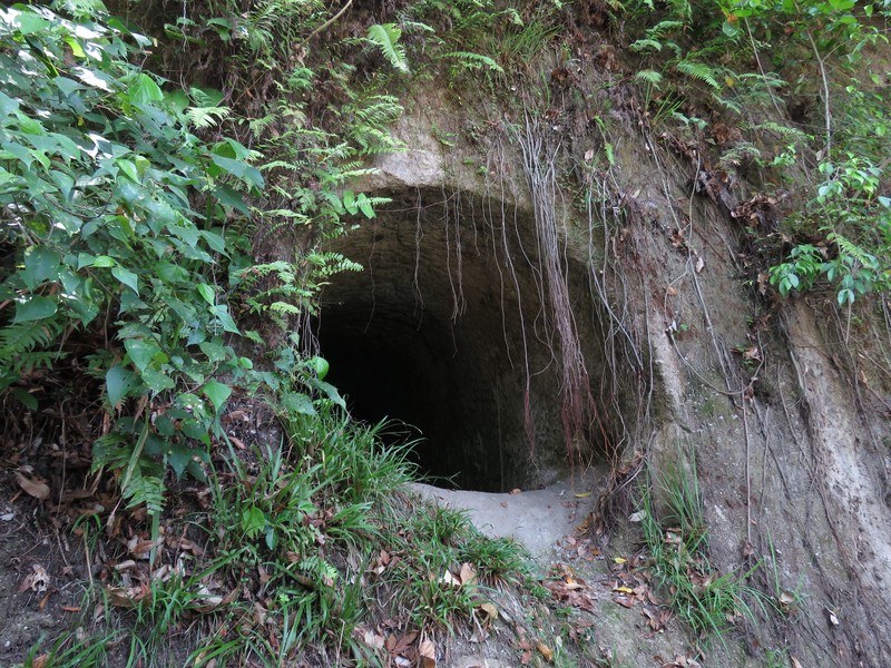 Tunnels in the hillside 1