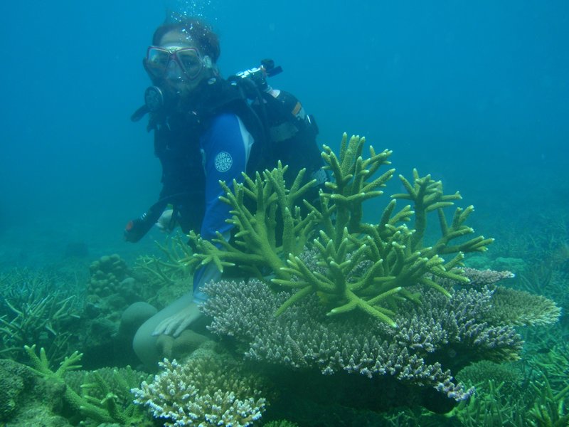 48- wonderfull coral