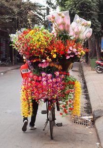 49-Flower street seller