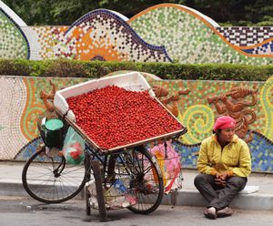 50-Street fruit seller