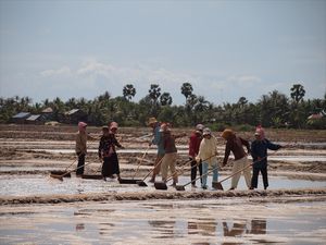 55-Salt marsh near Kampot