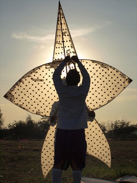30-Traditional kite