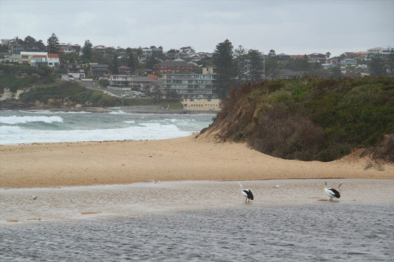 189-Beach on the North of Sydney