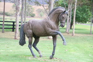 67-Statue of one of the most famous horse in Australia