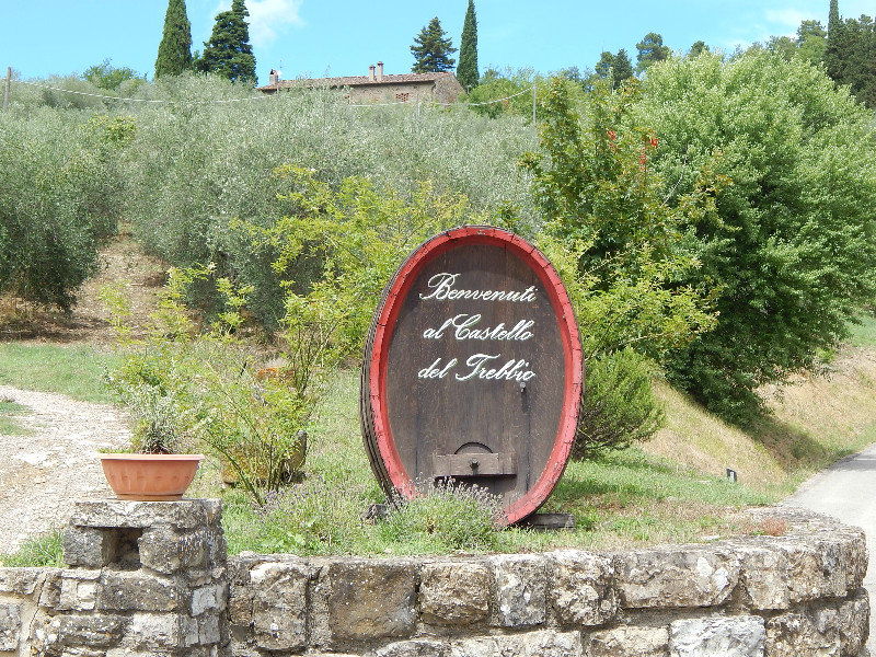 Villa del Trebbio for wine tasting