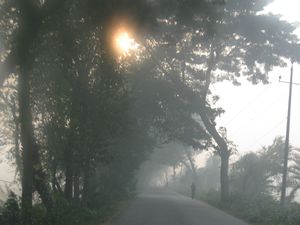 Roads in a fogy morning - photo by arif