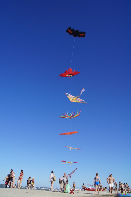 Great day for kites, Cervia