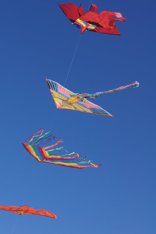 Kites on the beach, Cervia