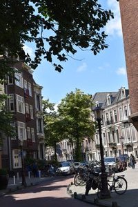 19.  An elegant Amsterdam streetscape