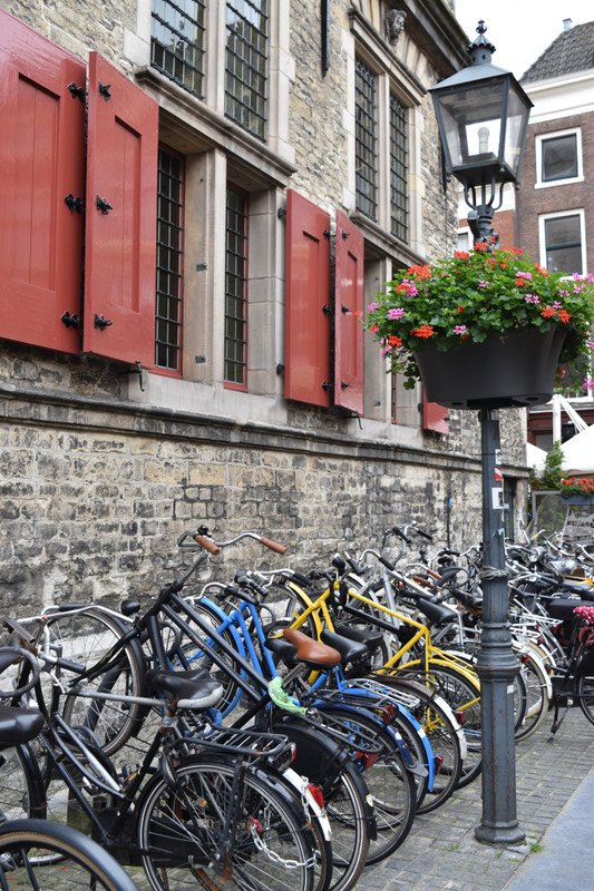 bikes, Delft