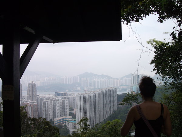 The view of HK Island
