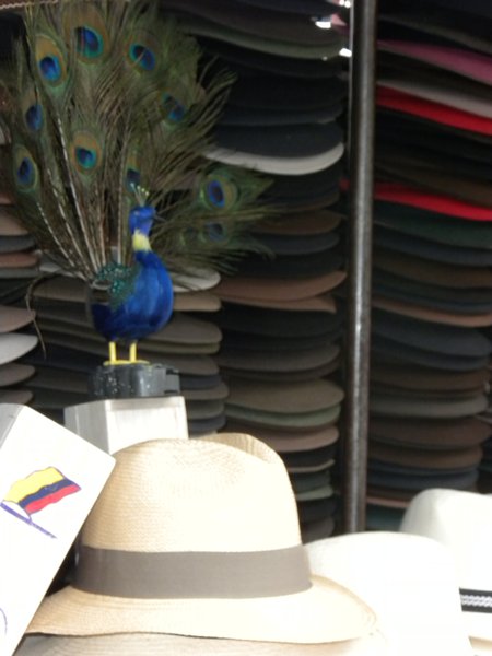 Common Hats Worn With a Peacock Feather
