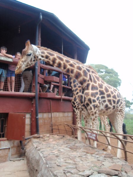 Girafecenter Nairobi