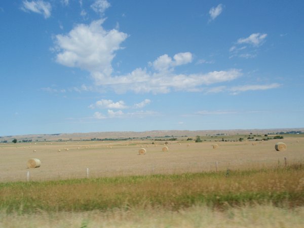 Kæmpe landbrug i North Dakota og Montana