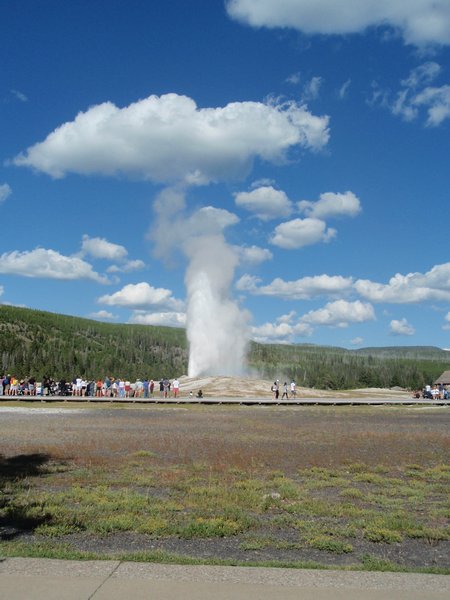 9-10 juli 2011 Yellowstone 093