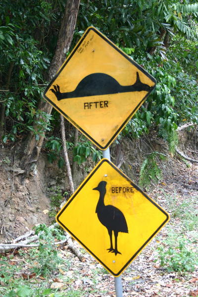 Cassowary warning signs