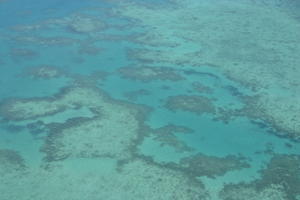 Reef from above