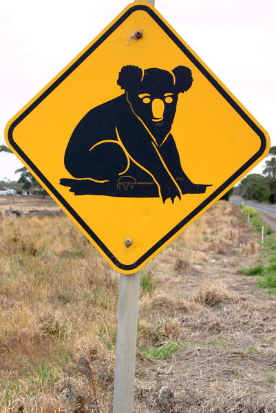 Koala Warning roadsign