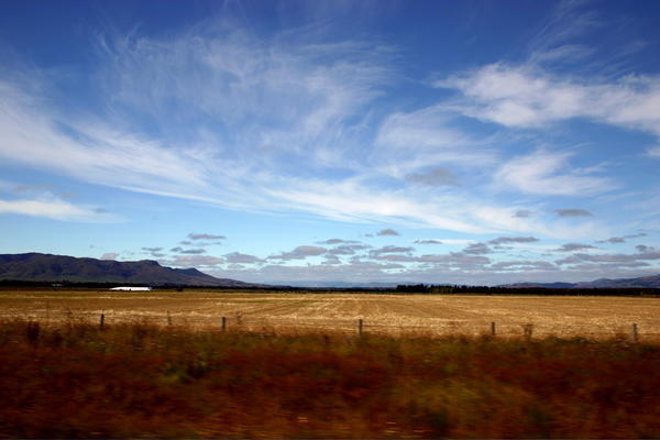 NZ Landscape