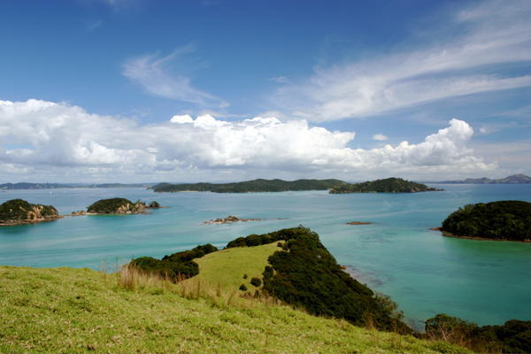 Looking over the Bay of Islands