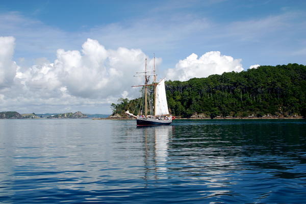 Tall ship in the Bay of Islands