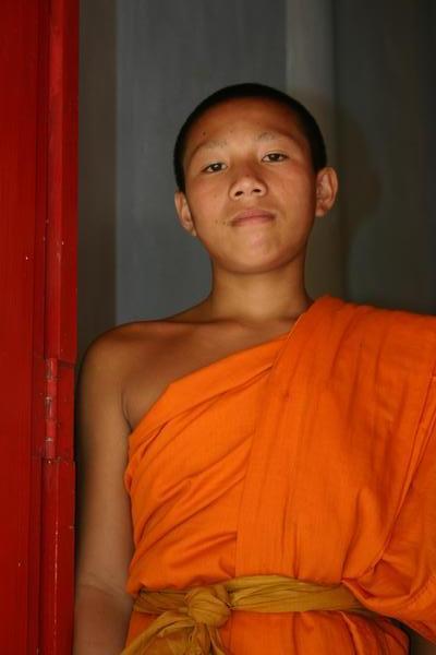 A Young monk looks on