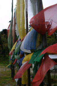 Prayer flags at the pass